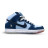 Nike SB Dunk Low Why So Sad? x Dunk Low SB 'The Predatory Bird'