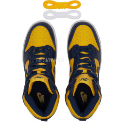 Nike Dunk Nike High Michigan (2020)