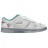 Nike Dunk Low Ice